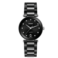 Rado S La Coupole R22243703 Q HTC noir Cadran noir 11 diamants 31mm